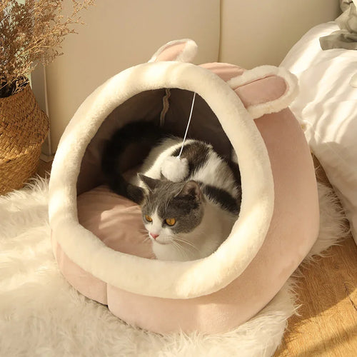 Cosy Cat Cave